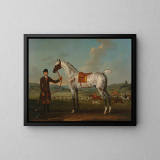 Thomas Spencer - Scipio a spotted hunter the property of Colonel Roche.webp