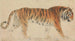 Un Tiger - Thomas Stothard — visning af kunstværket