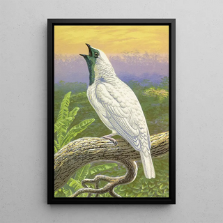 Thomas Waterman Wood - NakedThroated Cotinga.webp