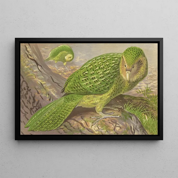 Thomas Waterman Wood - New Zealand OwlParrot.webp