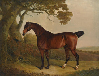 Thomas Weaver - A bay horse tethered to a tree in a landscape.webp