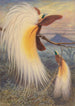 Oiseaux de paradis - Thomas William Wood — visning af kunstværket