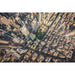 Fotoprint af New York - The Big Apple som du aldrig har set det