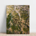 Landskabsfotoprint - Grønne Serpentinmønstre