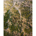 Landskabsfotoprint - Grønne Serpentinmønstre