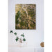 Landskabsfotoprint - Grønne Serpentinmønstre