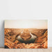 Fotoprint af det store amerikanske vesten - Horseshoe Bend