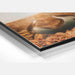 Fotoprint af det store amerikanske vesten - Horseshoe Bend