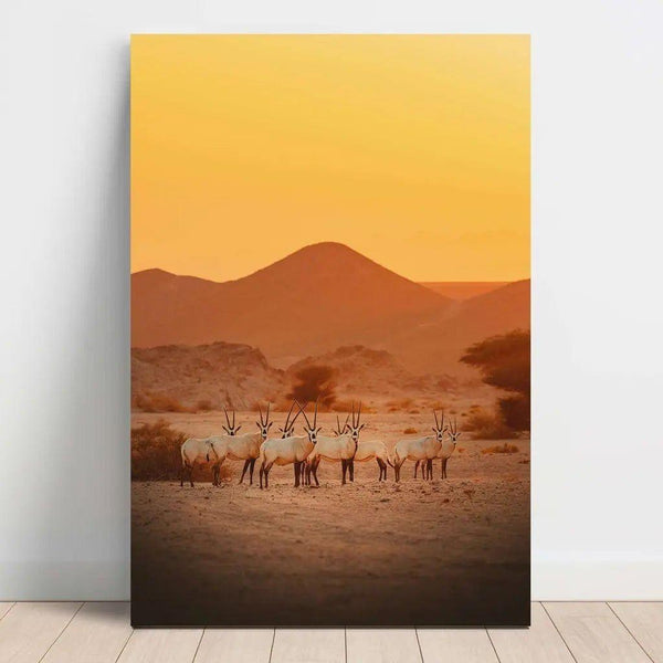 Fotoprint natur: Ørkenens symfoni