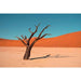 Landskabsfotografi - L'essence du désert africain immortalisée