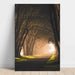 Lys tunnel | Naturoptagelsesfoto