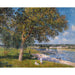 Reproduktion af maleriet af en valnød i engen i Thomery - Alfred Sisley