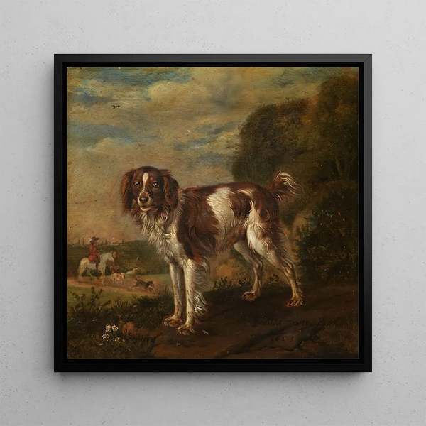 Un épagneul - Paulus Potter