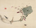 naturstudier: planter, fisk og fugle, lotusknold med insekter - Urakami Shunkin — visning af kunstværket