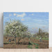 Reproduktion af maleriet Verger en blomster, Louveciennes - Camille Pissarro
