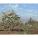 Reproduktion af maleriet Verger en blomster, Louveciennes - Camille Pissarro