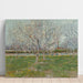 Reproduktion af maleriet Frugtplantage i blomst (Prunus) - Vincent van Gogh