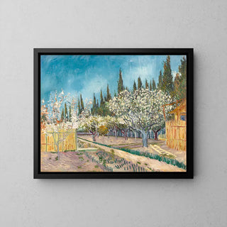 Frugthave omgivet af cypresser - Vincent Van Gogh