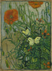 Papillons og valmuer - Vincent van Gogh — visning af kunstværket