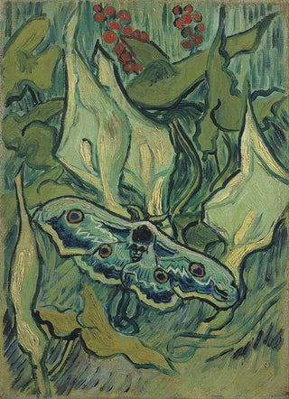 Vincent van Gogh - Emperor moth.webp