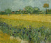 Champ de blomster nær Arles - Vincent van Gogh — visning af kunstværket