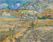 Landskab ved Saint-Rémy, indhegnet mark med bonde - Vincent van Gogh — visning af kunstværket