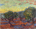 Olive grove à Saint-Rémy - Vincent van Gogh — visning af kunstværket