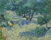 Verger d'oliviers - Vincent van Gogh — visning af kunstværket