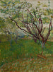 Le Verger en fleurs - Vincent van Gogh — visning af kunstværket