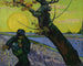 Le Semeur - Vincent van Gogh — visning af kunstværket