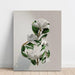 Vegetalt ansigt | Collage