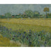 Reproduktion af maleriet Vue d'Arles avec des iris - Vincent van Gogh