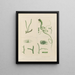 Botanisk kryptogamisk maleri af rejsen til Antarktis med skibene HM Discovery Erebus og Terror i årene 1839 Pl62 - Walter Hood Fitch — indrammet kunstværk på væggen