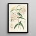 Lilium auratum - Walter Hood Fitch — indrammet kunstværk på væggen