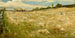 Vermonts kornmark - Walter Shirlaw — visning af kunstværket