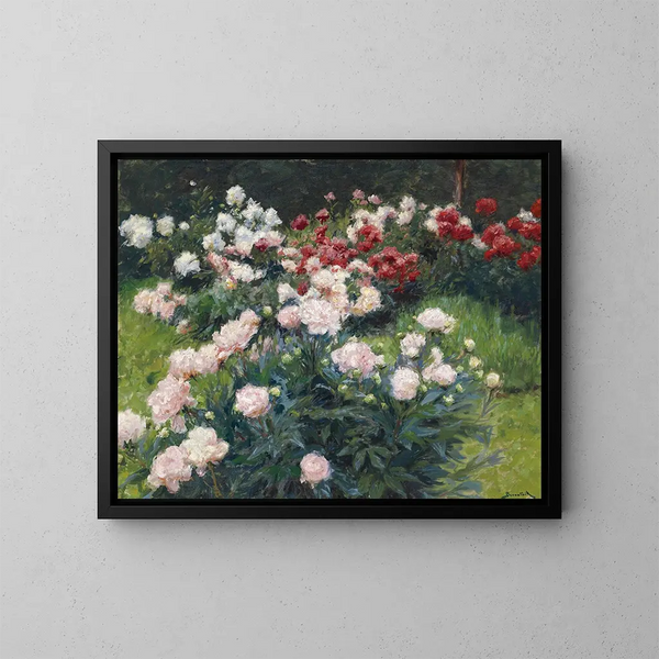 Pivoines - Wilhelm Bernatzik — indrammet kunstværk på væggen