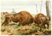Le Bison d'Europe - Wilhelm Kuhnert — visning af kunstværket