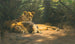 La Tanière des lions - Wilhelm Kuhnert — visning af kunstværket