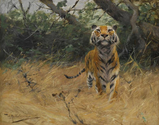 Wilhelm Kuhnert - Tiger On The Watch.webp