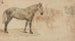Études d'un cheval - Willem Carel Nakken — visning af kunstværket