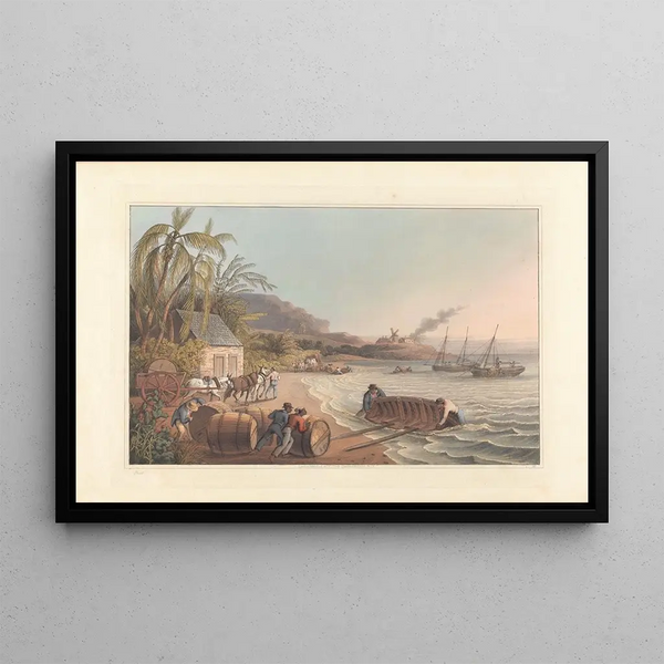 William A V Clark - Carting and putting SugarHogsheads on board.webp