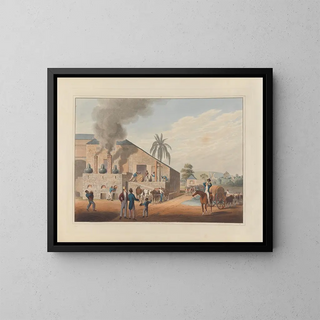 William A V Clark - Exterior of CuringHouse and Stills.webp