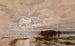 L'inondation i Darling, 1890 - William Charles Piguenit — visning af kunstværket