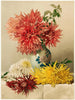 Chrysanthèmes - William Duffield — visning af kunstværket
