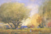 Sommer scene - William Henry Holmes — visning af kunstværket