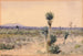 Yuccaland Chihuahua, Mexico - William Henry Holmes — visning af kunstværket