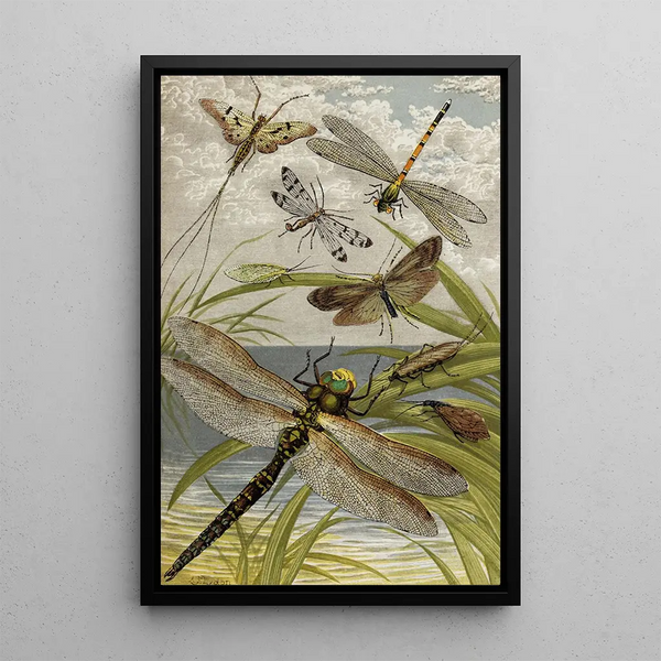 William Houghton - Neuroptera.webp