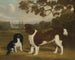 En toy cocker spaniel og en springer spaniel i et landskab med en kirke i det fjerne - William Nedham — visning af kunstværket