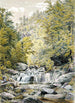 Catskill Clove - William Rickarby Miller — visning af kunstværket