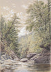 Catskill Clove à Palingsville - William Rickarby Miller — visning af kunstværket